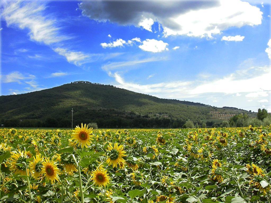 Holiday Home Il Moro Novo Cortona Exterior foto
